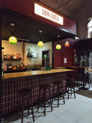 Don Gato Bar at Don Gato Bar in Madrid