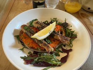   at Plantuguese in Bristol