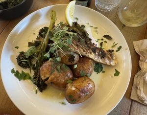   at Plantuguese in Bristol