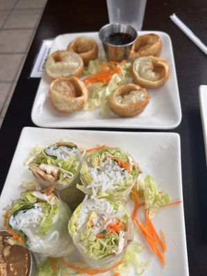 Fried dumplings and summer rolls  at My Thai Vegan Cafe in Boston
