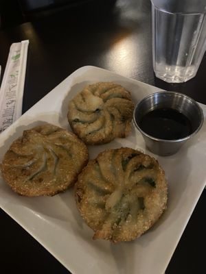 Super greasy dumplings  at My Thai Vegan Cafe in Boston