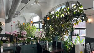 Restaurant garden... or forest?  at My Thai Vegan Cafe in Boston