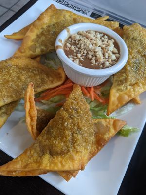"Golden triangles", tofu mushroom and veggie blend w/ peanut sauce at My Thai Vegan Cafe in Boston