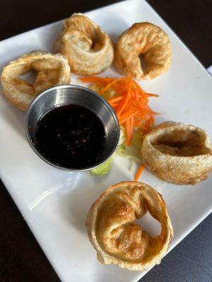 3. Fried Dumplings  at My Thai Vegan Cafe in Boston