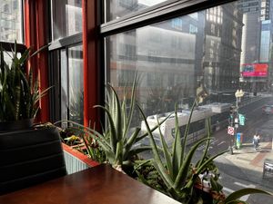 the view!  at My Thai Vegan Cafe in Boston