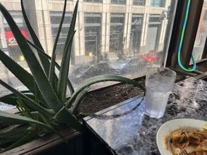 Window next to my table  at My Thai Vegan Cafe in Boston