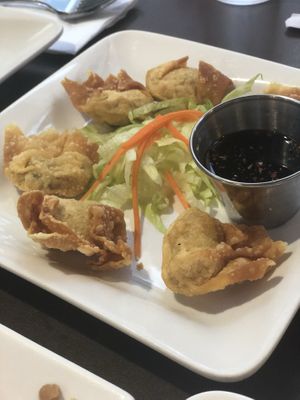 Fried dumpling appetizer  at My Thai Vegan Cafe in Boston