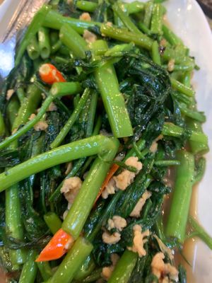 ⚖️🌏🇵🇸🇹🇭🇲🇲🇵🇸👩🏽‍🍼🌍⚖️🌎 ผัดผักบุ้งหมูสับ  🇵🇸⚖️🗝️Stir-fried morning glory w/ Plant-bas at J-DEE VEGAN in Chiang Mai