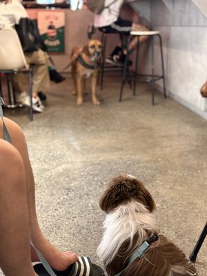   at FFV Café in Sao Paulo