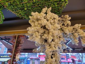 Decor at La Dolce London in London