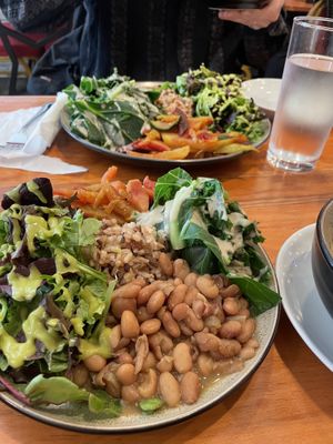   at Himalaya Vegan Organic Restaurant in New York City