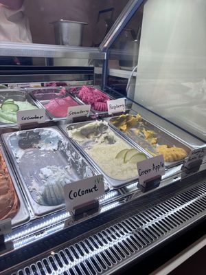 vegan options   at Fifi's Gelato in Auckland