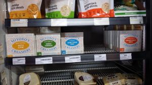 All my favorite vegan cheeses at Vegan Haven in Seattle