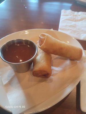 Harumaki vega spring roll at Sushiology in Kennesaw