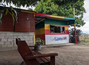 THE BEST VEGAN RESTAURANT on the island! Must try!   at Ital Creations Restaurant at Bliss Farms in Brumaire