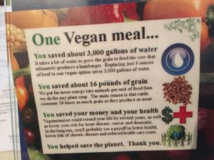 Go Vegan! at Bubble Tea Paradise Healthy Cafe in Limerick