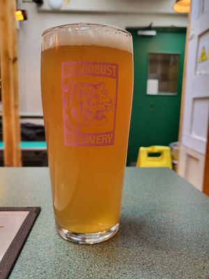 Beeeeeeeer at Bundobust in Leeds