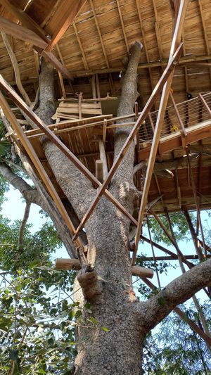 Structure   at The Tree Top Kafe in Auroville