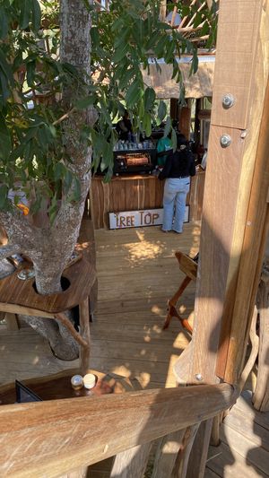 Cafe  at The Tree Top Kafe in Auroville