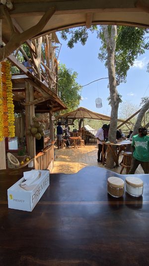 Cafe seating are  at The Tree Top Kafe in Auroville