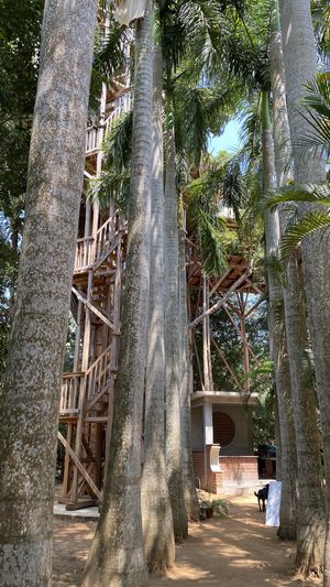 The Tree Top Kafe @ Keeth House  at The Tree Top Kafe in Auroville