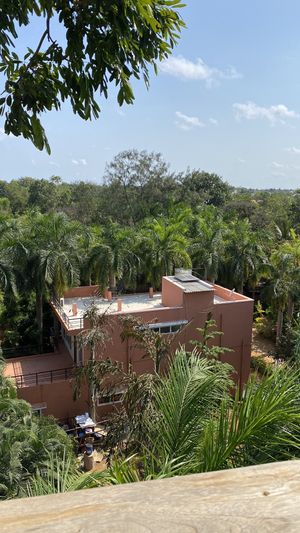 View  at The Tree Top Kafe in Auroville
