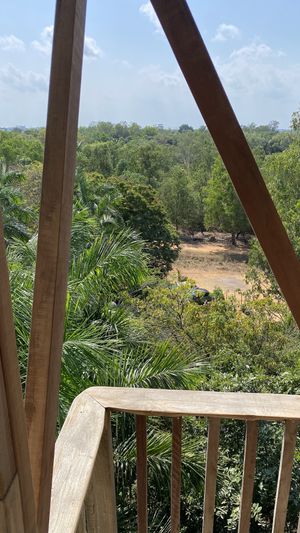 View  at The Tree Top Kafe in Auroville