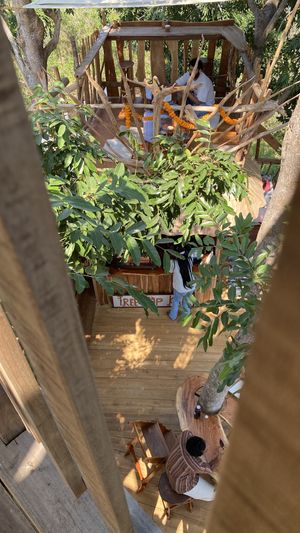Viewpoint   at The Tree Top Kafe in Auroville