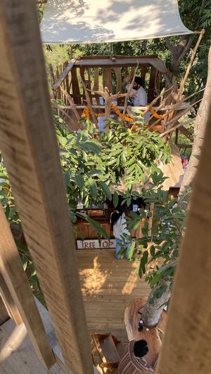 Private areas  at The Tree Top Kafe in Auroville