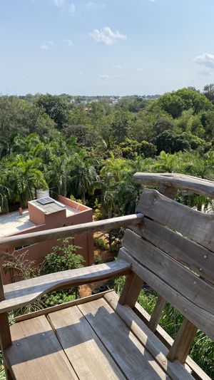 From the top  at The Tree Top Kafe in Auroville