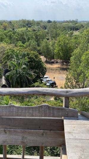 View  at The Tree Top Kafe in Auroville