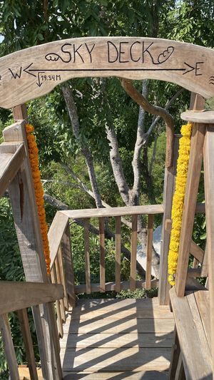 View  at The Tree Top Kafe in Auroville