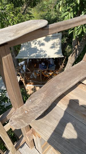 View  at The Tree Top Kafe in Auroville