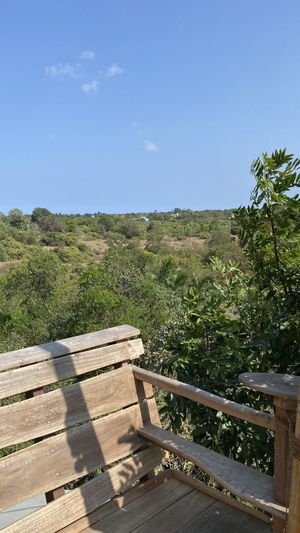 View  at The Tree Top Kafe in Auroville