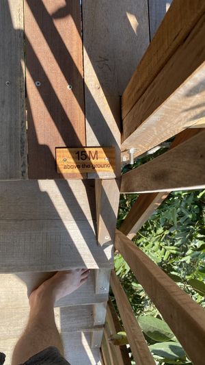 15m up  at The Tree Top Kafe in Auroville