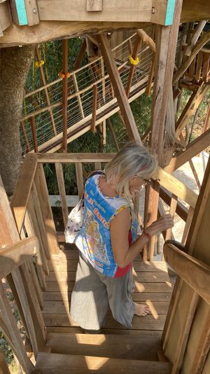 Stairs  at The Tree Top Kafe in Auroville