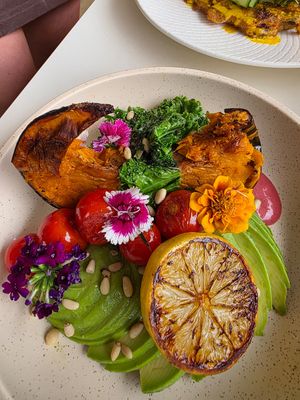 Vegan bowl at The Civic Social in Noosa Heads