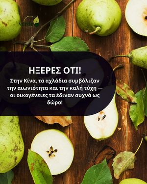  at Verde Natural Bioshop in Porto Rafti