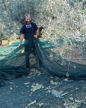 Andrea in the olive grove at Bel Campà in Chieti
