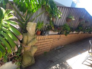  at Asian StrEAT Sawtell in Sawtell