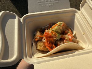 Potato tacos with vegan avocado salsa and slaw   at Food Not Bombs Raleigh in Raleigh