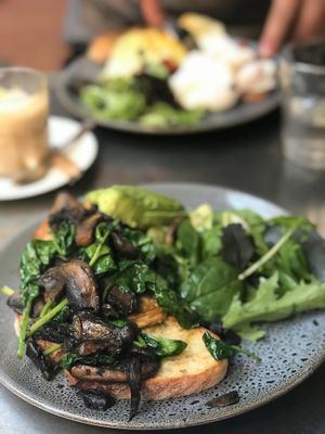 Pesto mushroom w/ Avo at Country Road Cafe in Perth
