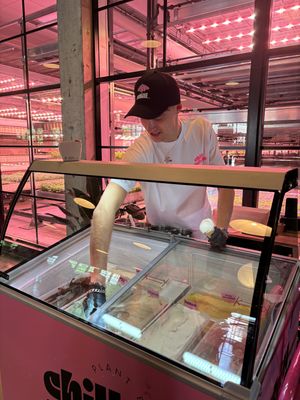 7 flavour options including sorbets  at Chill Gelato in London