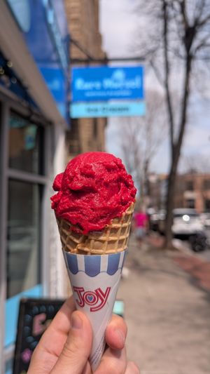 Raspberry Sorbet Waffle Cone at Rare Morsel in Frederick