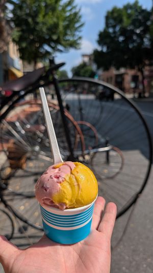 Mango Sorbet and Oat milk Strawberry Ice Cream at Rare Morsel in Frederick