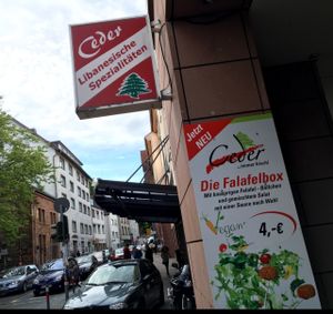 outside at Ceder in Marburg