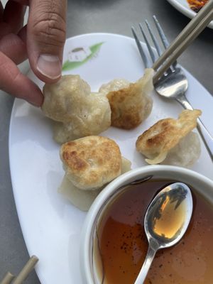 Pot stickers dumplings   at Tofu Vegan in Brighton