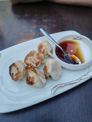 Fried dumplings at Tofu Vegan in Brighton