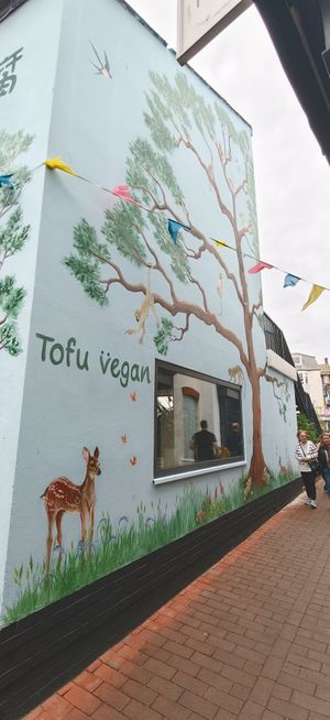  at Tofu Vegan in Brighton