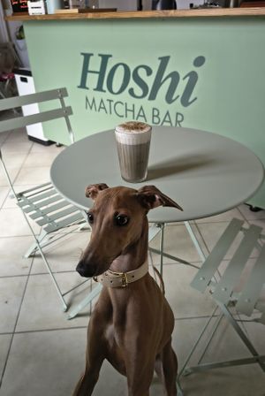  at Hoshi Matcha Bar in Syracuse